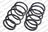 Lesjofors 4192501 Coil Spring - Front