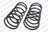 Lesjofors 4192531 Coil Spring Set - Front