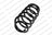 Lesjofors 4242101 Coil Spring - Rear