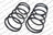 Lesjofors 4488301 Coil Spring - Rear