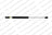 Lesjofors 8008412 Hood Lift Support