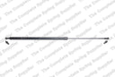 Lesjofors 8092505 Hood Lift Support