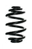 Suplex 06254 Coil Spring - Rear