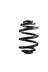Suplex 06377 Coil Spring - Rear