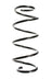 Suplex 38077 Coil Spring - Front