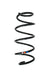 Suplex 39297 Coil Spring - Front