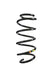 Suplex 39311 Coil Spring - Front