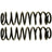 Moog 81077 Coil Spring Set - Rear