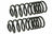 Mevotech SMS225V Coil Spring Set - Rear