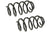 Mevotech SMS250136 Coil Spring Set - Front