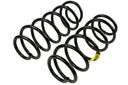 Mevotech SMS250181 Coil Spring Set - Rear