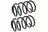 Mevotech SMS30024 Coil Spring Set - Front