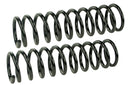 Mevotech SMS400265 Coil Spring Set - Rear