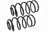 Mevotech SMS60197 Coil Spring Set - Rear