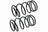 Mevotech SMS80839V Coil Spring Set - Rear