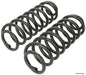 Mevotech SMS81069 Coil Spring Set - Rear