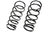 Mevotech SMS81425 Coil Spring Set - Rear