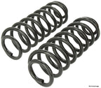 Mevotech SMS8161 Coil Spring Set - Rear