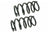 Mevotech SMS81628 Coil Spring Set - Front