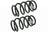 Mevotech SMS81659 Coil Spring Set - Rear