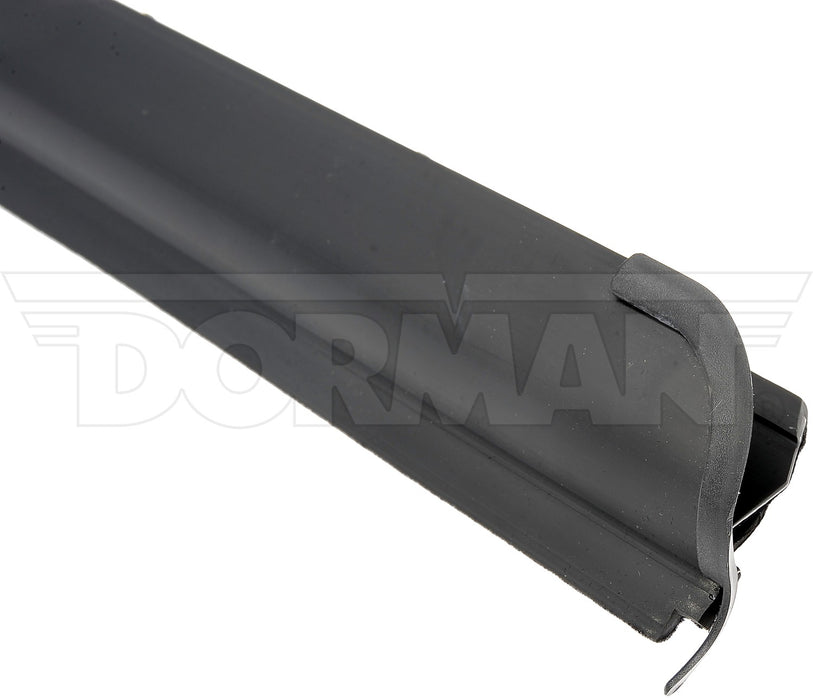 Dorman 25839 Door Window Seal - Right Outer