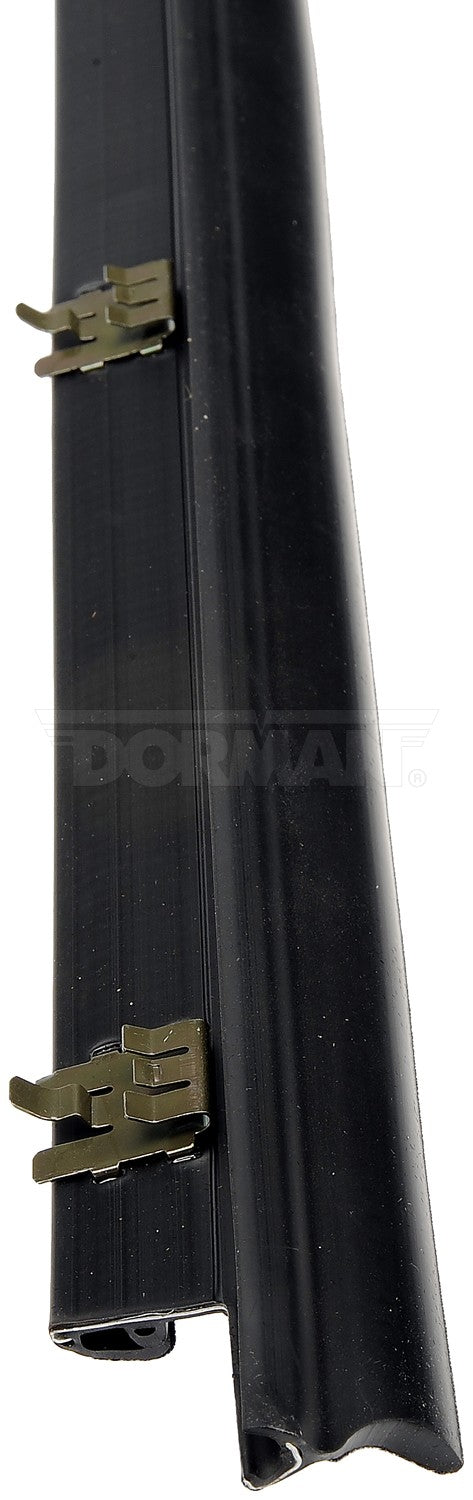 Dorman 25840 Door Window Seal - Left Outer