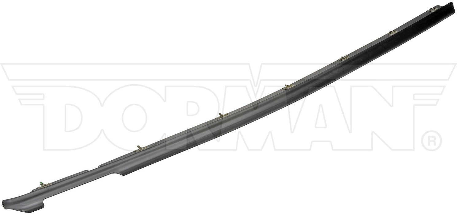 Dorman 25841 Door Window Seal - Right Outer