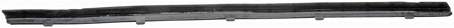 Dorman 25851 Door Window Seal - Right