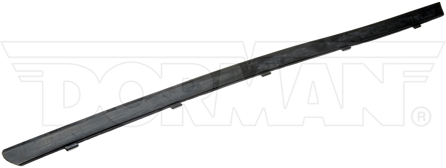 Dorman 25851 Door Window Seal - Right