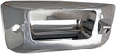 Dorman 91123 Tailgate Handle Bezel