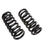 Moog 6454 Coil Spring Set - Front