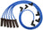 NGK 51031 Spark Plug Wire Set