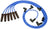 NGK 51433 Spark Plug Wire Set