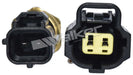 Walker 211-91106 Engine Coolant Temperature Sensor