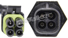 Walker 215-91003 Fuel Injection Idle Air Control Valve