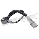 Walker 242-1339 Ignition Knock (Detonation) Sensor