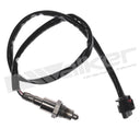 Walker 250-241336 Oxygen Sensor - Downstream