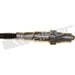 Walker 250-25126 Oxygen Sensor - Upstream