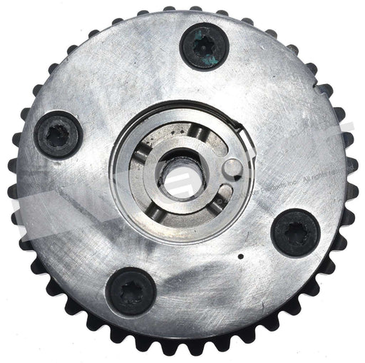 Walker 595-1036 Engine Variable Valve Timing (VVT) Sprocket - Exhaust