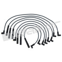Walker 924-1304 Spark Plug Wire Set