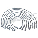 Walker 924-1433 Spark Plug Wire Set