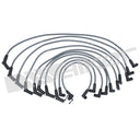 Walker 924-1446 Spark Plug Wire Set