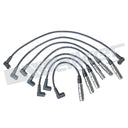 Walker 924-1681 Spark Plug Wire Set