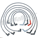 Walker 924-2036 Spark Plug Wire Set