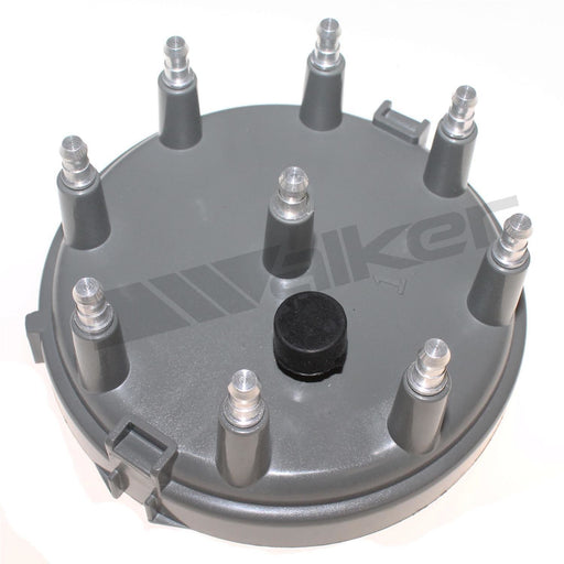 Walker 925-1019 Distributor Cap