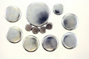Pioneer Cables PE-166 Engine Expansion Plug Kit