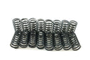 Pioneer Cables S-1054 Engine Valve Spring Kit