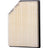 Pronto PA99866 Engine Air Filter