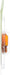Phillips 12396NALLB2 Courtesy Light Bulb - Front, Front Outer or Rear