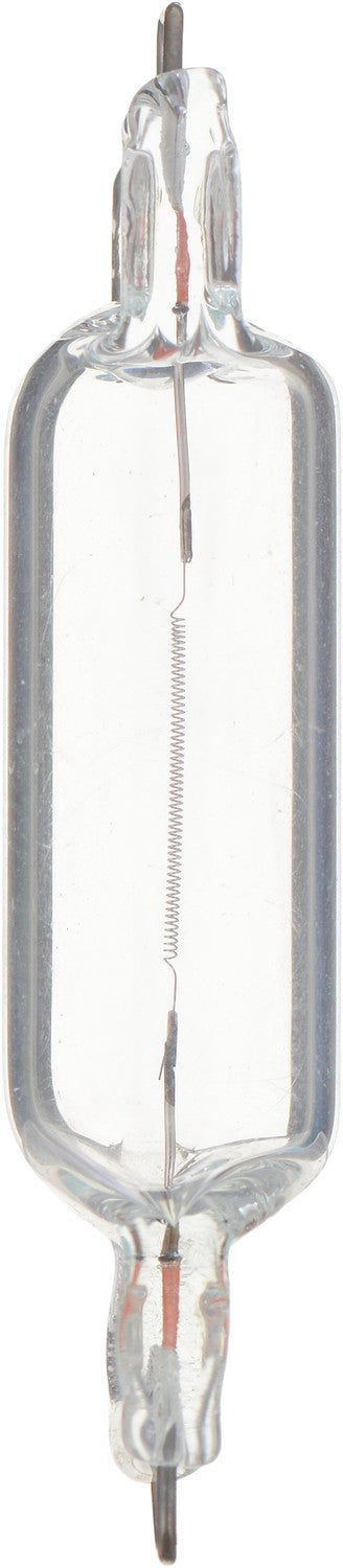 Phillips 561CP Dome Light Bulb